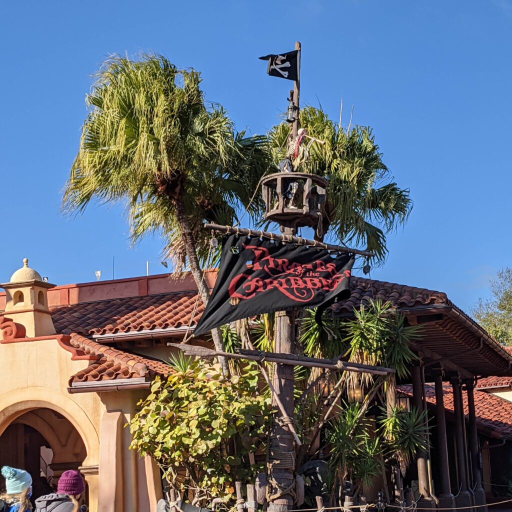 PXL 20210202 142843848 1024x1024 1